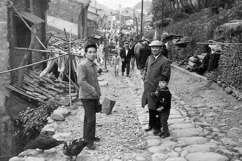 民國53年的南庄桂花巷飼養的雞鴨穿梭於石頭路上